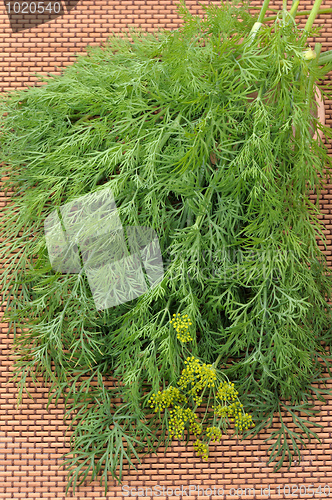 Image of Dill