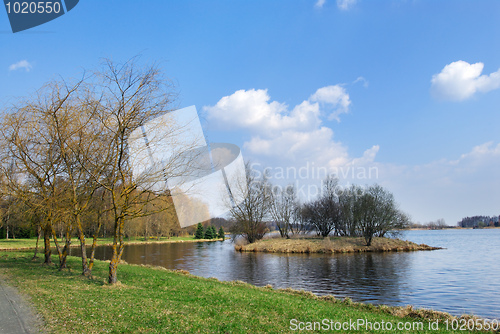 Image of The shore of the lake in spring