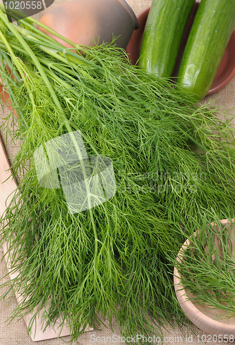 Image of Dill