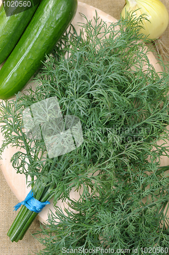 Image of Dill