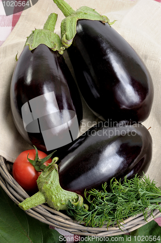 Image of Eggplants.