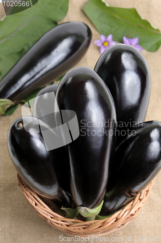 Image of Eggplants.