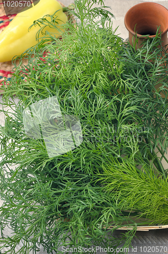 Image of Dill