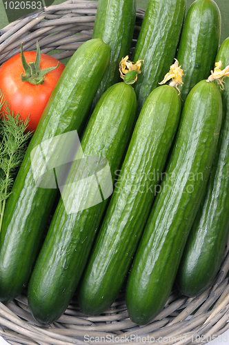 Image of Cucumbers