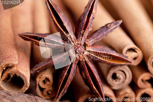 Image of Anise and Cinnamon