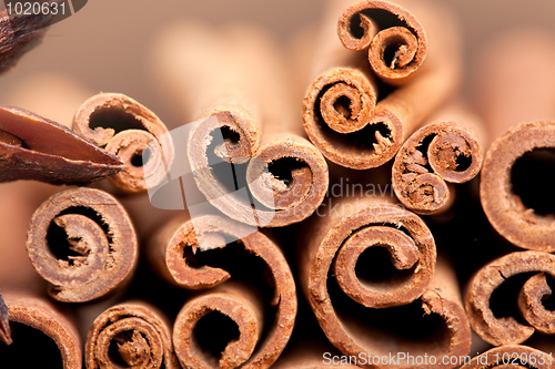 Image of Cinnamon Sticks