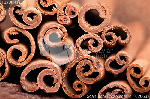 Image of Cinnamon Sticks