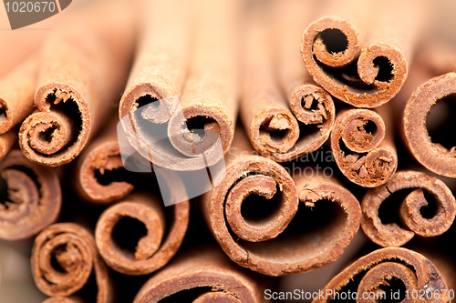 Image of Cinnamon Sticks