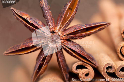 Image of Anise and Cinnamon