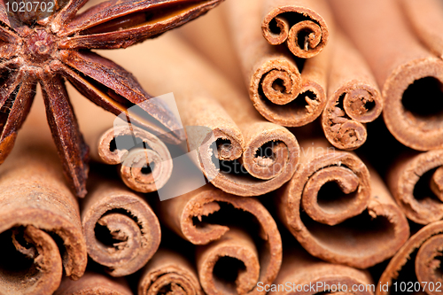 Image of Anise and Cinnamon