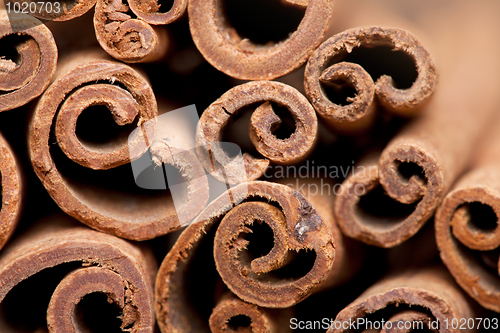 Image of Cinnamon Sticks