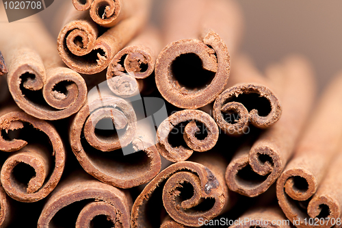 Image of Cinnamon Sticks