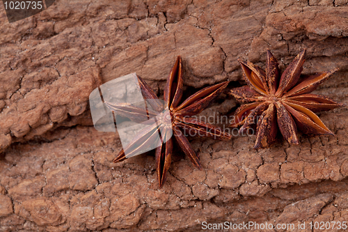 Image of Anise stars