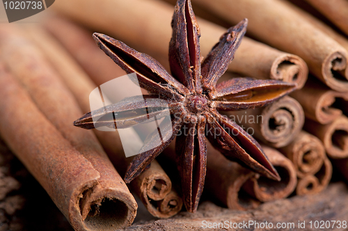 Image of Anise and Cinnamon