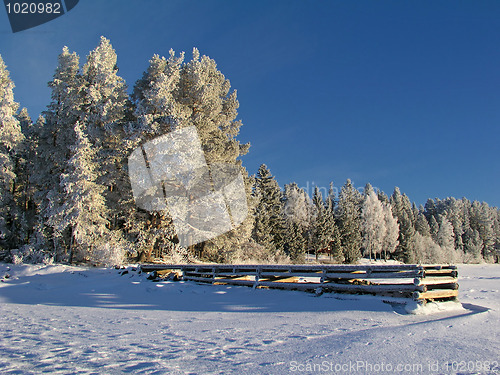 Image of Winter landscape