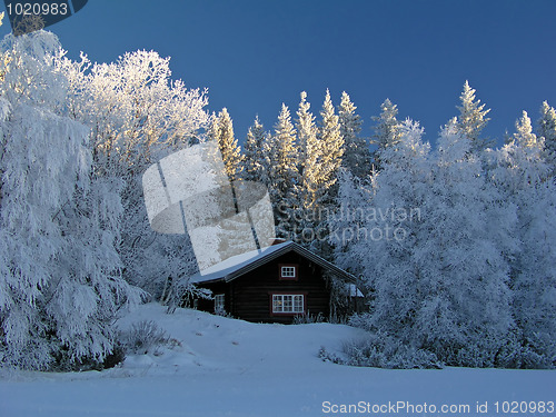 Image of Winter landscape