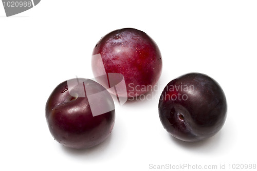 Image of Plums isolated on white