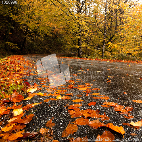 Image of Autumn landscape