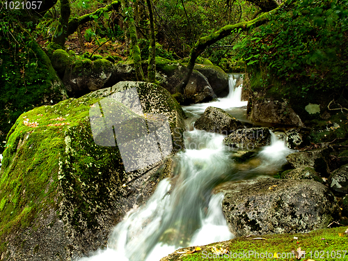 Image of Beautiful river