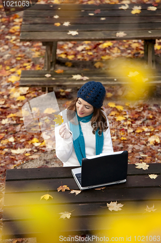 Image of Autumn work