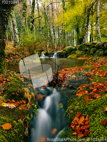 Image of Beautiful river