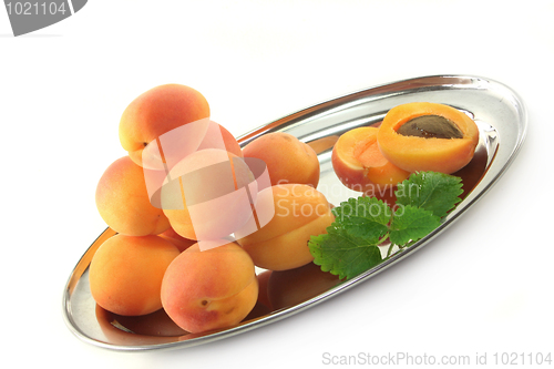 Image of Apricot