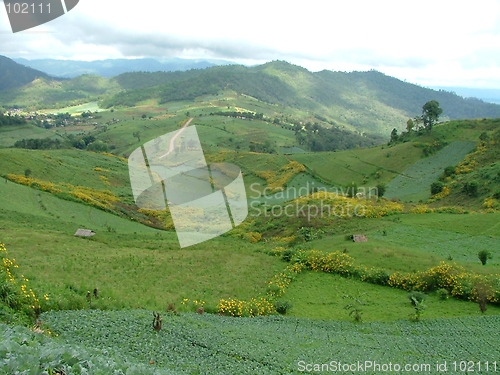 Image of north countryside in north thailand