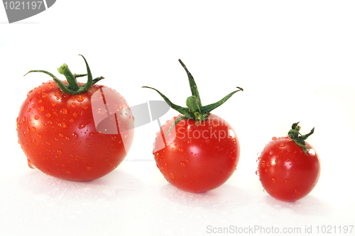 Image of Tomatoes