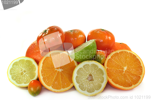 Image of Citrus fruits