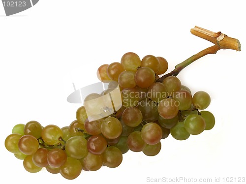 Image of muscat grapes