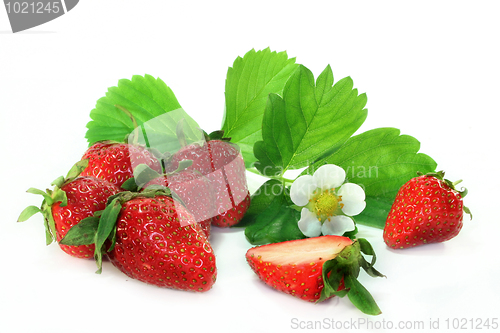 Image of Strawberries