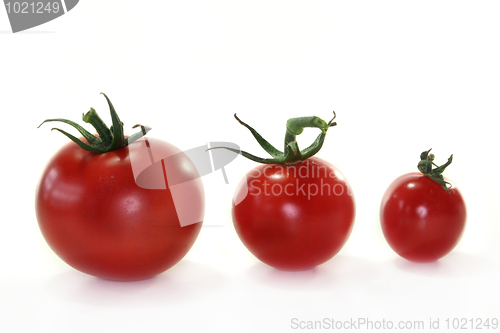 Image of Tomatoes