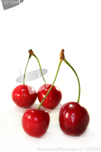 Image of Cherries