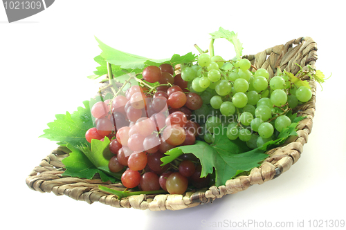 Image of Grapes