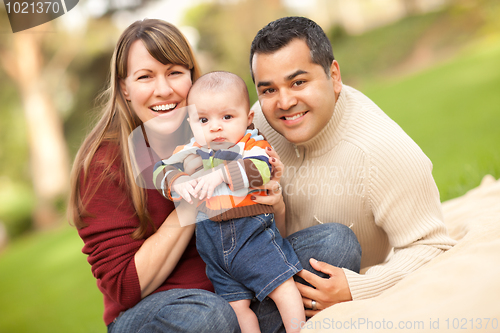 Image of Happy Mixed Race Family Posing for A Portrait