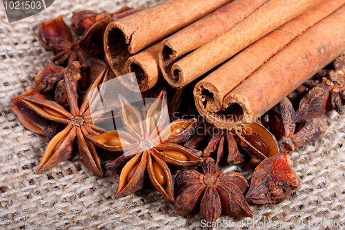 Image of Star anise and cinnamon sticks