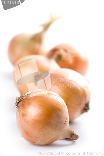 Image of five ripe onions