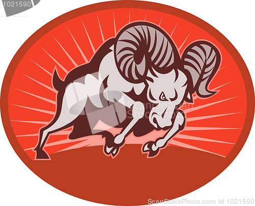 Image of Bighorn sheep or ram attacking