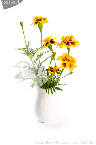 Image of marigold flowers in vase