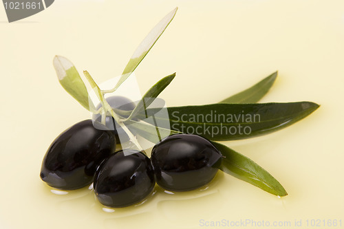 Image of Olive oil