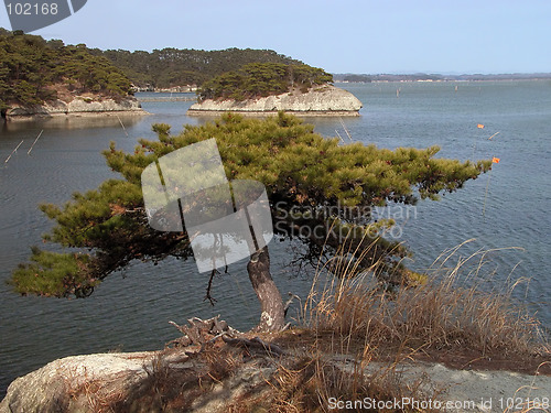 Image of Matsushima landscape