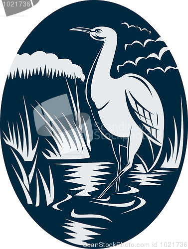 Image of Heron wading in the marsh