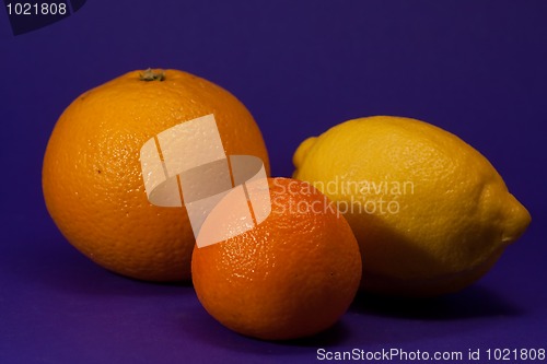 Image of Citrus fruits