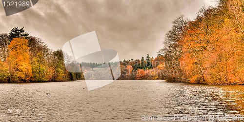 Image of Autumn Lake