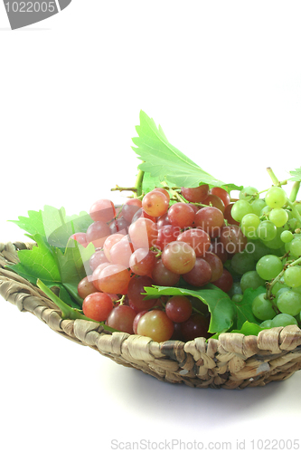 Image of red and bright grapes