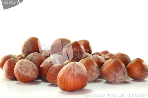 Image of Hazelnuts