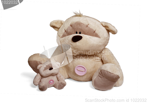 Image of Soft teddy bear couple