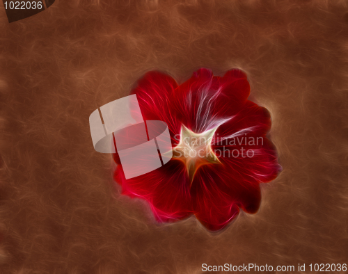 Image of Red Fractal flower