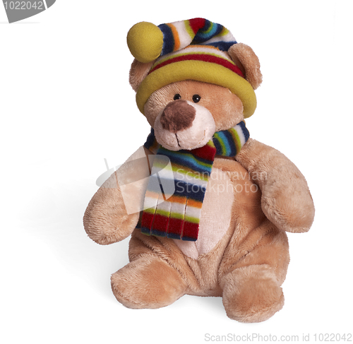 Image of Soft teddy bear