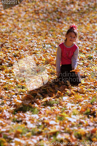 Image of Girl at bright autumn